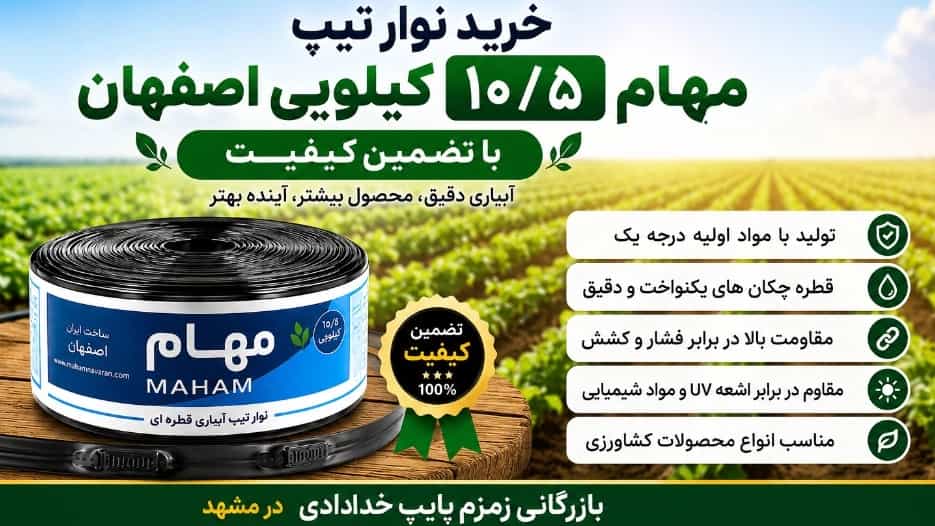 İsfahan'dan 10,5 kilo Maham bandını kalite garantisiyle satın almak
