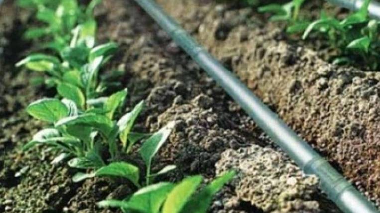 نوار آبیاری قطره ای نوار آبیاری قطره ای